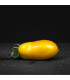 BIO Rajče Banana Legs - Solanum lycopersicum - prodej bio semen - 7 ks