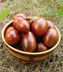 Rajče Black Plum - Solanum lycopersicum - prodej semen - 6 ks