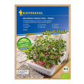 Mikrozelenina - náhradní pláty bio ředkvičky - microgreen - 3 ks