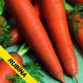 Mrkev Rubina - prodej semen Daucus carota - 1 gr