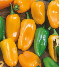 Paprika roční Hamík - Capsicum annuum - prodej semen - 20 ks