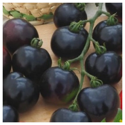 Rajče tyčkové černé Blackball - Solanum lycopersicum - prodej semen - 20 ks
