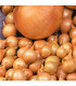 Cibule sazečka Štutgart - Allium cepa - prodej cibulek - 250 g