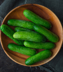 Okurka salátová Baby F1 - Cucumis sativus - prodej semen - 10 ks