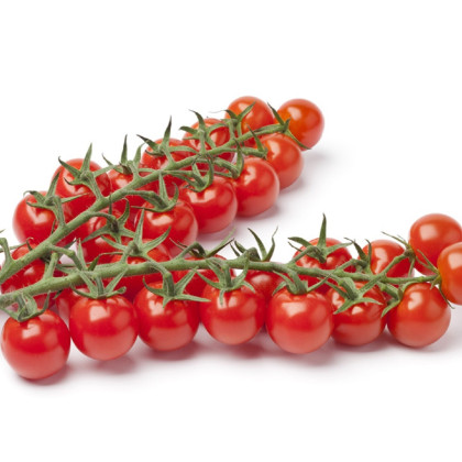 Rajče Gourmelito F1 - Solanum lycopersicum - prodej semen - 6 ks