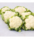 BIO Květák Amabile KS - Brassica oleracea - bio prodej semen - 20 ks