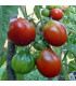 BIO Rajče Black Trifele - Solanum lycopersicum - prodej bio semen - 7 ks
