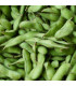BIO Sója Edamame Chiba Green - Glycine max - prodej bio semen - 20 ks