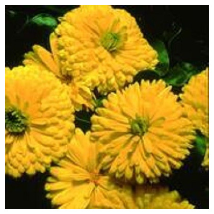 Měsíček lékařský Bon Bon žlutý - Calendula officinalis - prodej semen - 20 ks