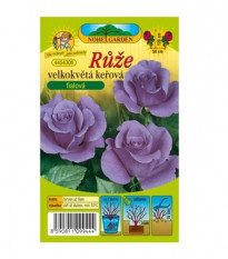 Růže velkokvětá fialová - Rosa - prodej prostokořenných sazenic - 1 ks