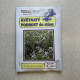 Květnatý podrost do stínu - Planta Naturalis - prodej semen - 40 g