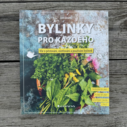 Bylinky pro každého - Grada - prodej knih - 1 ks