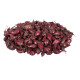 Cibule sazečka Romy - Allium cepa - prodej cibulek - 250 g