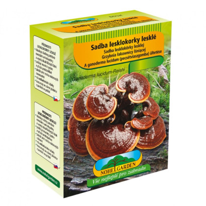 Lesklokorka lesklá - Ganoderma lucidum - sadba - prodej - 250 ml