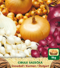 Směs sazeček - Allium cepa - 3 odrůdy cibulek - 150 g