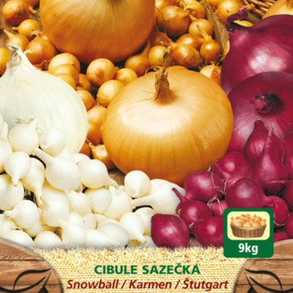 Směs sazeček - Allium cepa - 3 odrůdy cibulek - 150 g