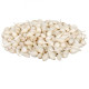 Cibule sazečka Snowball - Allium cepa - prodej cibulek - 500 g