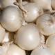 Cibule sazečka Snowball - Allium cepa - prodej cibulek - 250 g