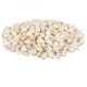 Cibule sazečka Snowball - Allium cepa - prodej cibulek - 250 g