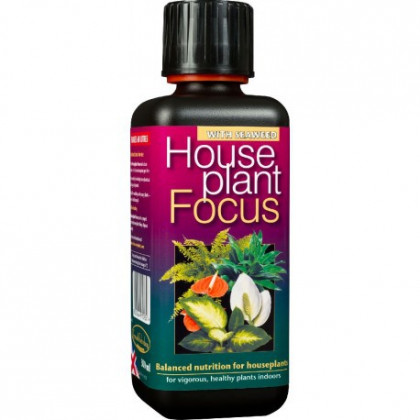 Hnojivo house plant focus - 300 ml