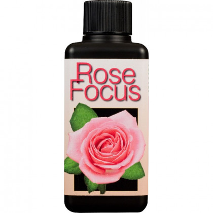 Rose focus - 300 ml
