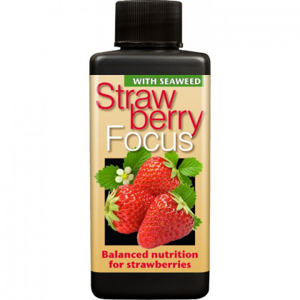 Strawberry Focus hnojivo na jahody - 300 ml