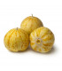 BIO Okurka Lemon - Cucumis sativus - prodej bio semen - 8 ks