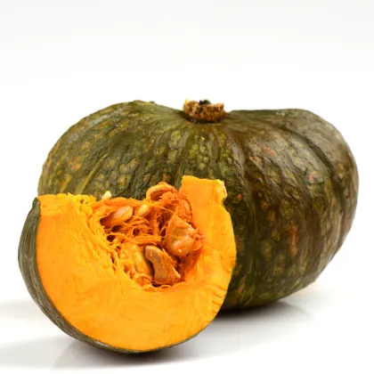 BIO Dýně Zelené Hokkaido - Cucurbita - prodej bio semen - 7 ks