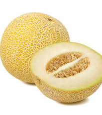 Meloun Galia Exelor F1 - Cucumis Melo - prodej semen - 5 ks