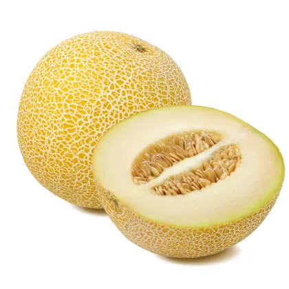 Meloun Galia Exelor F1 - Cucumis Melo - prodej semen - 5 ks