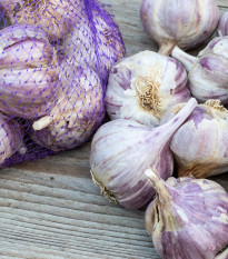 Sadbový česnek Topaz - Allium sativum - paličák - prodej cibulí česneku - 1 balení