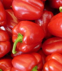 Paprika Babybell červená - Capsicum annuum - prodej semen - 8 ks