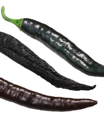 Chilli Pasilla Bajio - Capsicum annuum - prodej semen - 7 ks