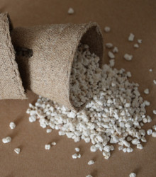 Perlit - vhodný pro klíčení semen - balení pro 3 až 5 semen - 0,05 l