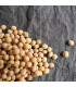 Semínka sóji - Glycina max - Sója - prodej semen sóji - 25 ks