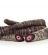 BIO Mrkev fialová Gniff - Daucus carota - prodej bio semen - 400 ks