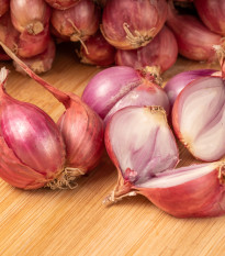 Cibule šalotka červená Sante - Allium Cepa - prodej cibulek - 500 g