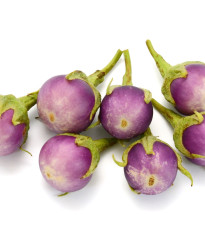 BIO Lilek Rosa Bianca - Solanum melongena - prodej bio semen - 8 ks