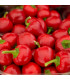 BIO Paprika Babybell červená - Capsicum annuum - prodej bio semen - 10 ks