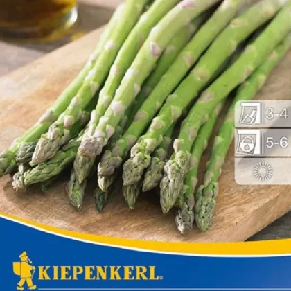 Chřest Boonlim - Asparagus officinalis - prodej prostokořenných sazenic - 1 ks