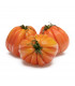 BIO Rajče Coure di Bue oranžové - Solanum lycopersicum - prodej bio semen - 8 ks