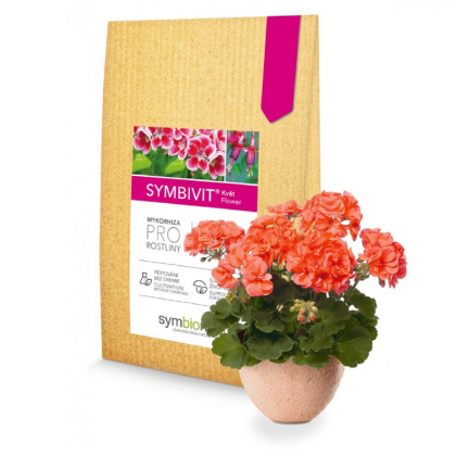 Mykorhiza pro balkónové květiny - Symbivit Květ - prodej hnojiv - 150 g