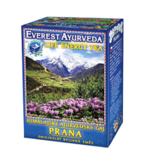 Prana - bylinná směs - prodej ájurvédských čajů - 100 g