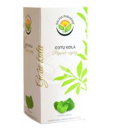 Pupečník asijský - Centella asiatica - prodej bylinných čajů - 20 x 1,5 g