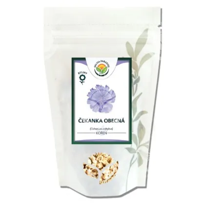 Čekanka obecná - Cichorium inthybus - kořen - 100 g