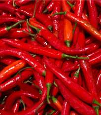 Chilli Kajenský pepř extra tenký - Capsicum annuum - prodej semen - 7 ks