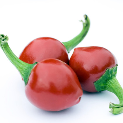 Paprika Red Cherry - Capsicum annuum - prodej semen - 7 ks