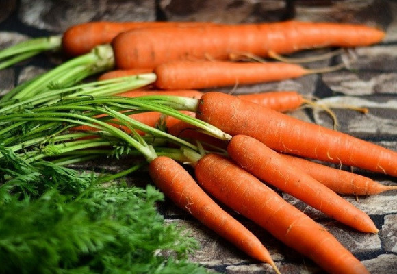 Je rozdíl mezi karotkou a pozdní mrkví? A jak ji pěstovat?